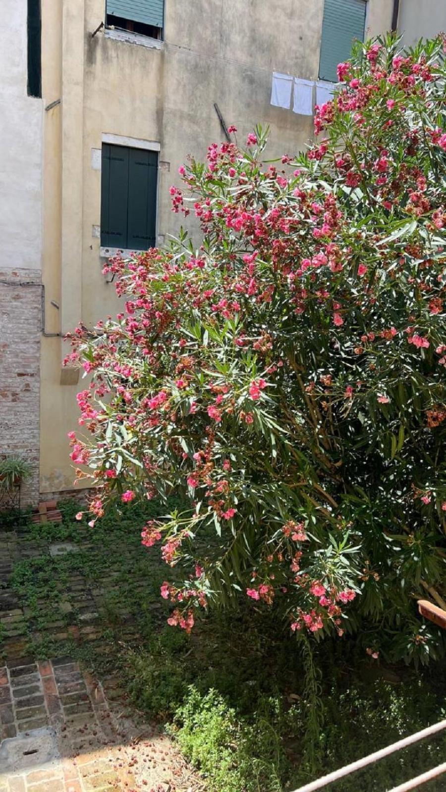 Ania Apartment Venedig Exterior foto